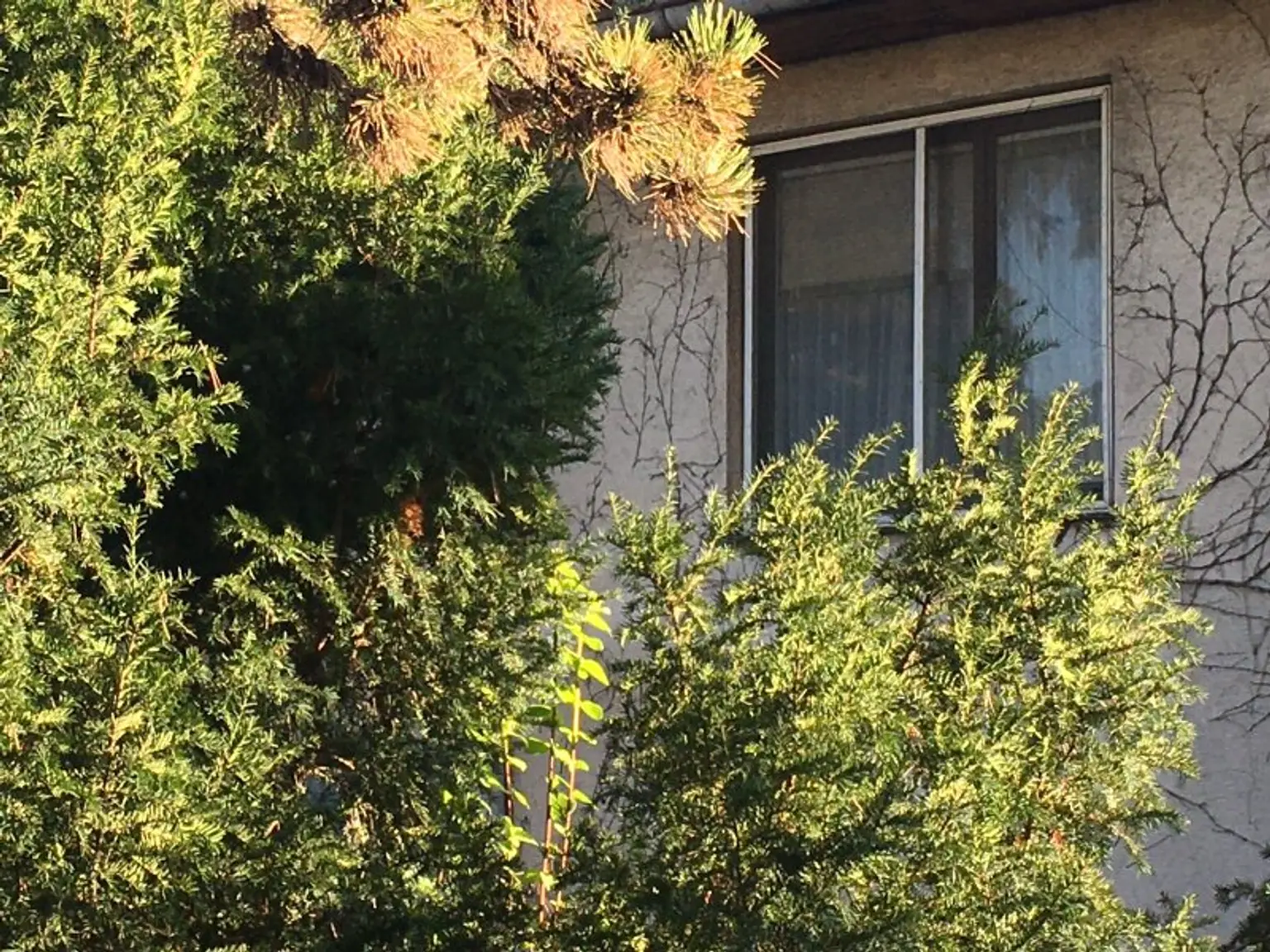 Ihr neues Zuhause in Bruck/Leitha