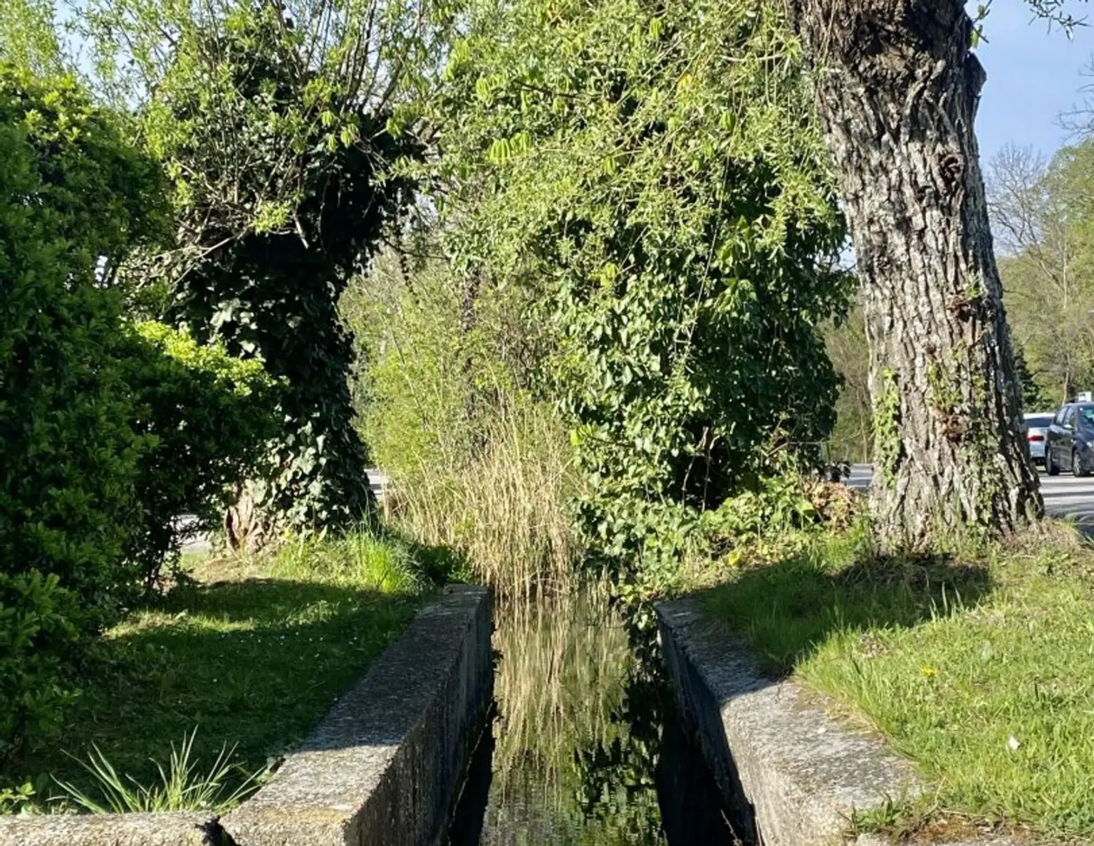 POTTENDORF /// WOHNEN IN BESTER LAGE /// DREI BAUGRÜNDE AN PRIVATSTRASSE