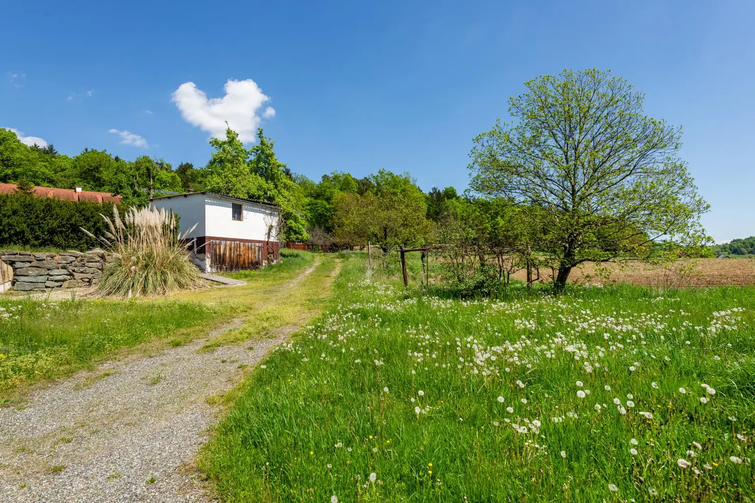 Einfamilienhaus mit großem Grundstück und Nebengebäuden