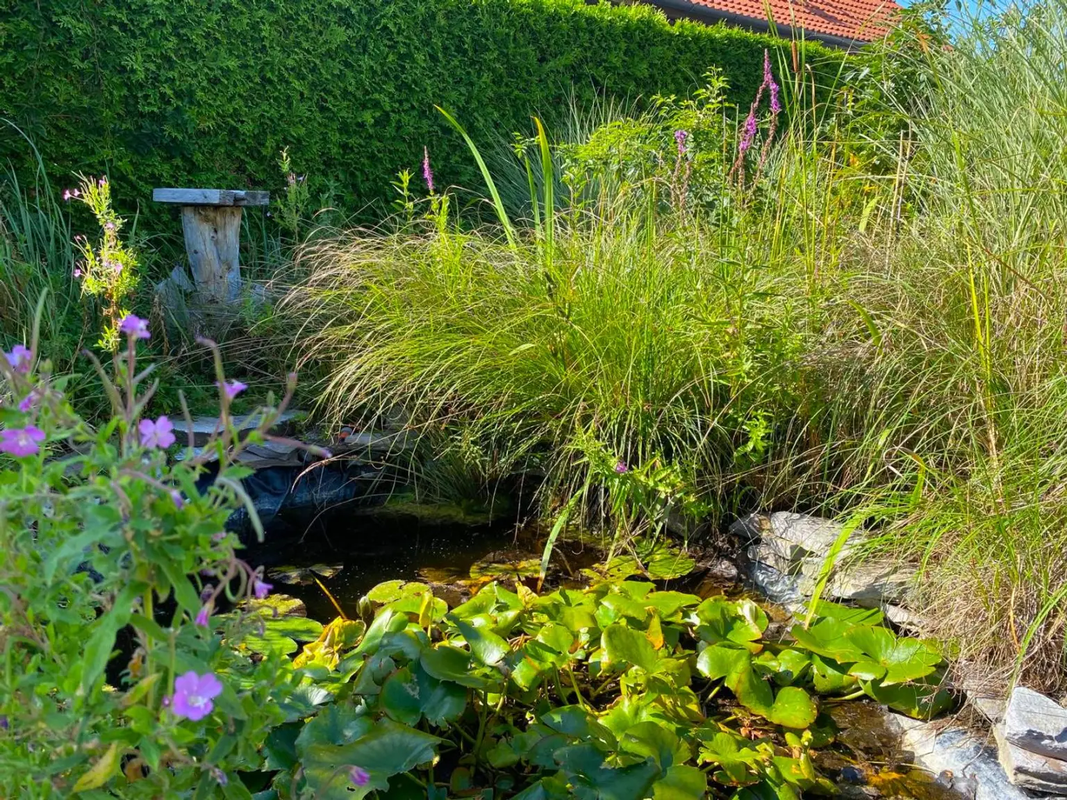 Hier zieh ich ein -  Einfamilienhaus mit großem Garten in Kottingbrunn!