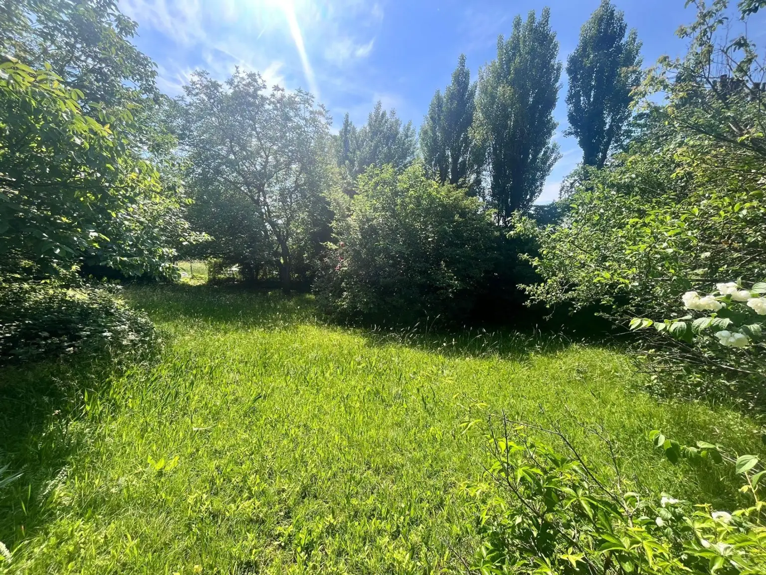 01 Baugrundstück am Riederberg