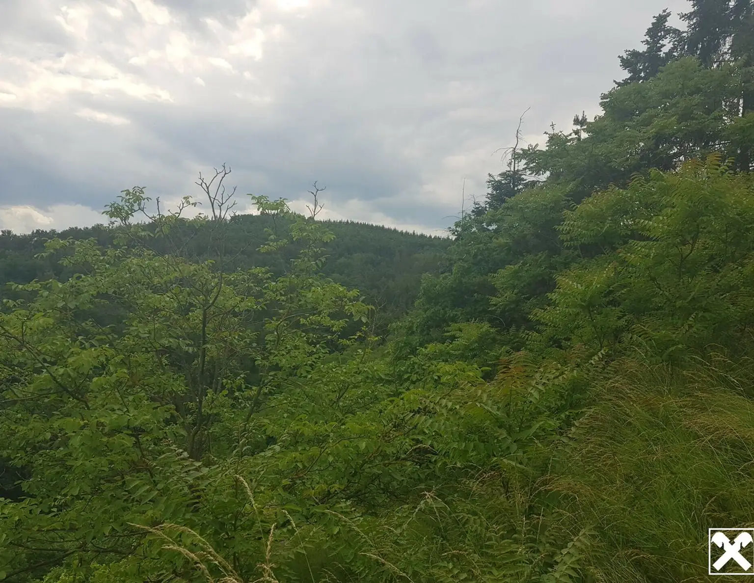 FREIZEITPARADIES FÜR HOBBYGÄRTNER IN EINZIGARTIGER AUSSICHTSLAGE MIT DONAUBLICK - KEIN BAUGRUNDSTÜCK!