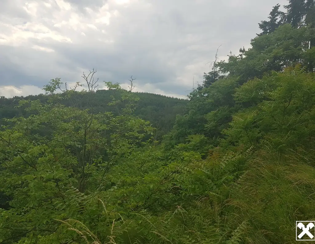 FREIZEITPARADIES FÜR HOBBYGÄRTNER IN EINZIGARTIGER AUSSICHTSLAGE MIT DONAUBLICK - KEIN BAUGRUNDSTÜCK!