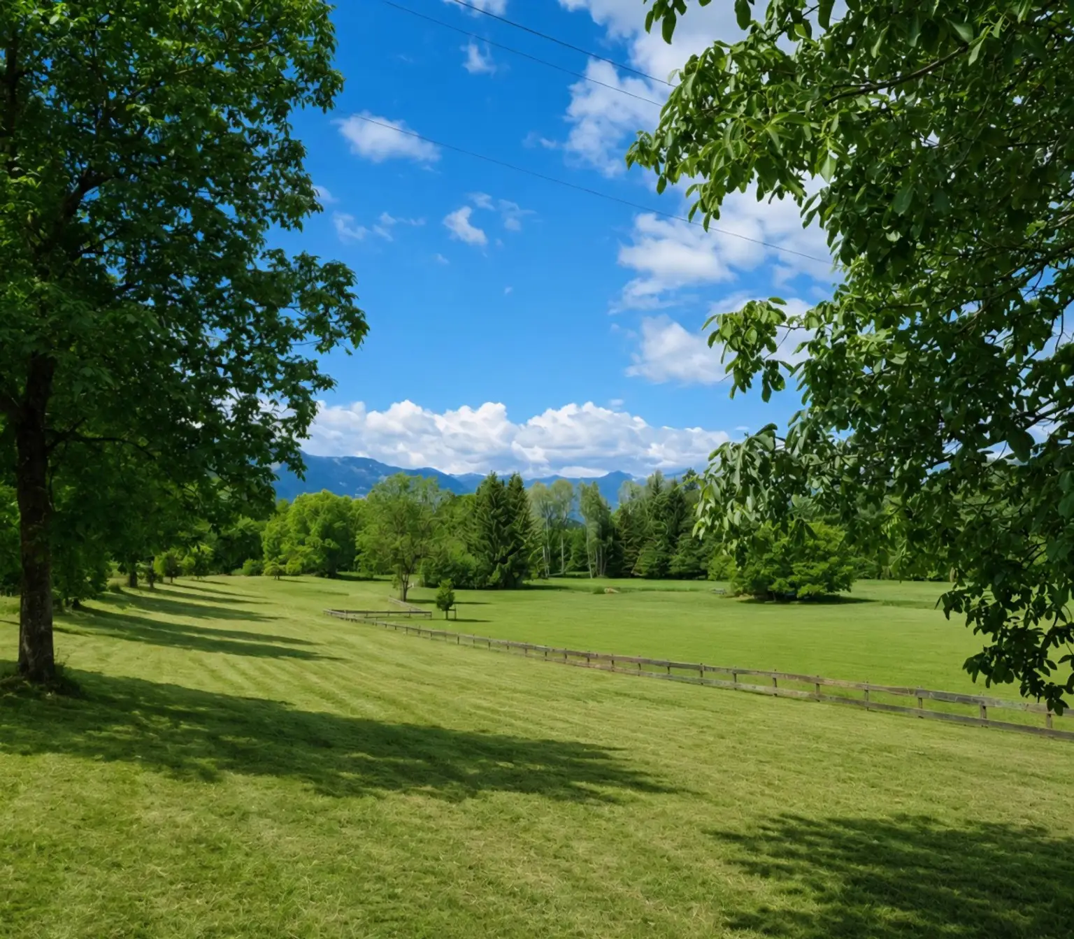 Landwirtschaftliche Fläche