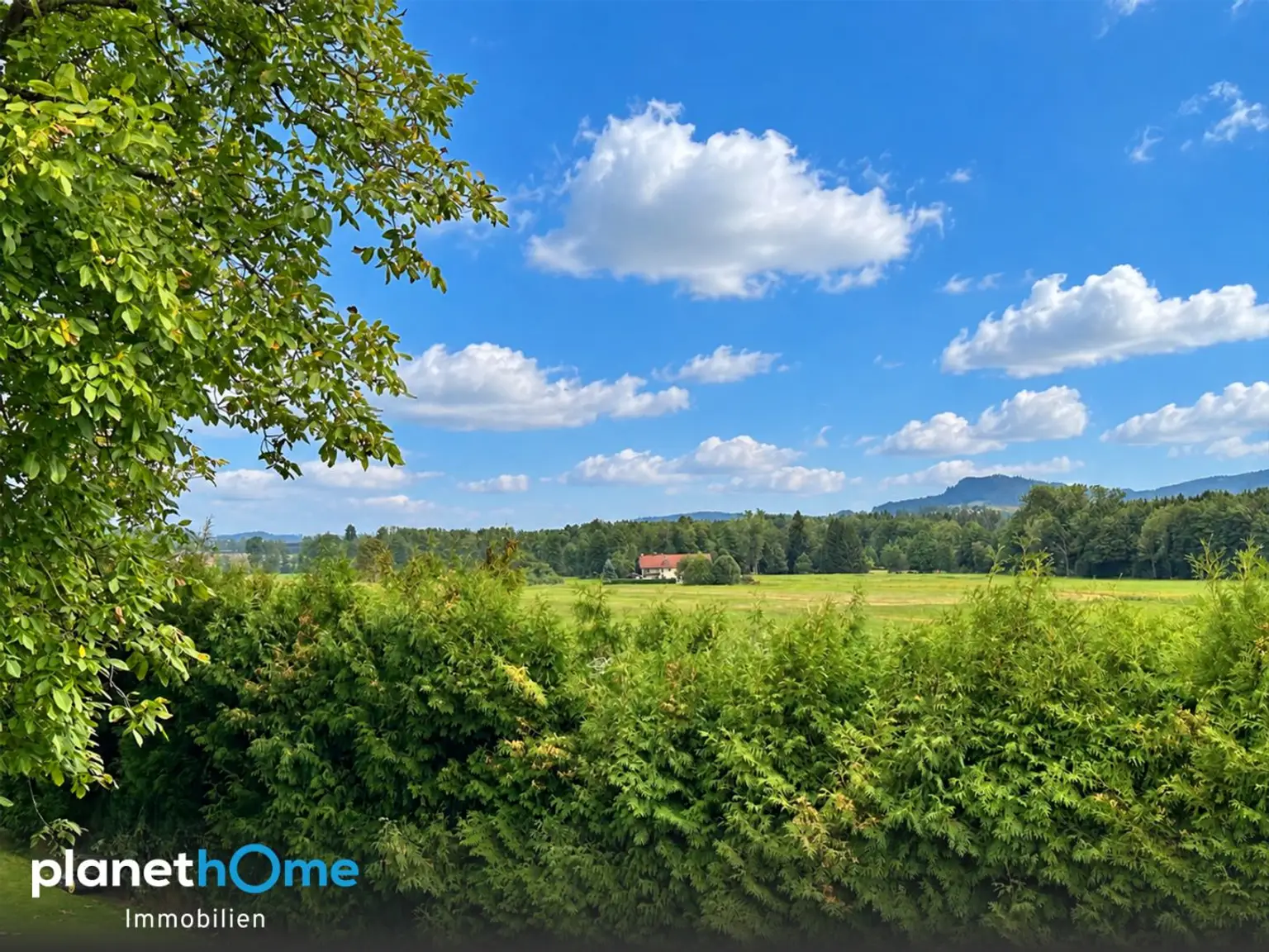 Aussicht