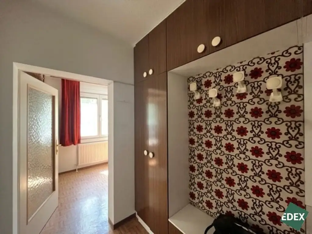 Charmante 1-Zimmer-Wohnung mit Blick ins Grüne in Wien Brigittenau