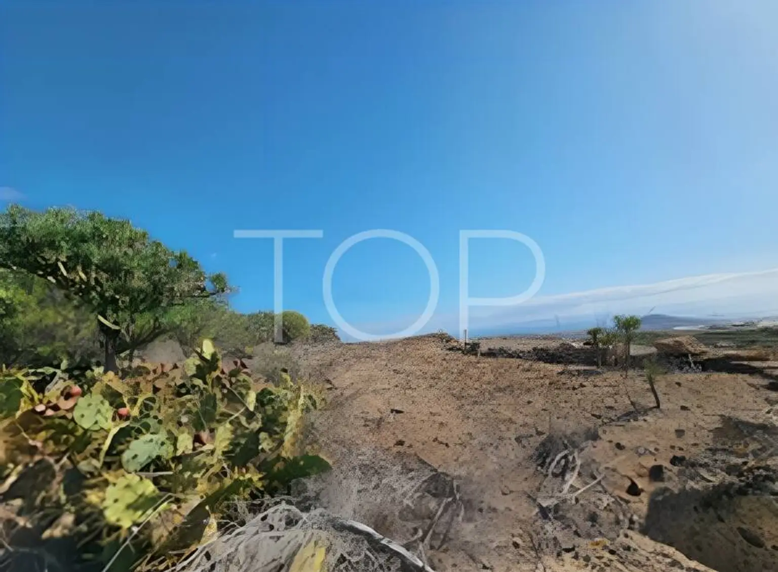 Land-Granadilla-xxx-Teneriffa-8