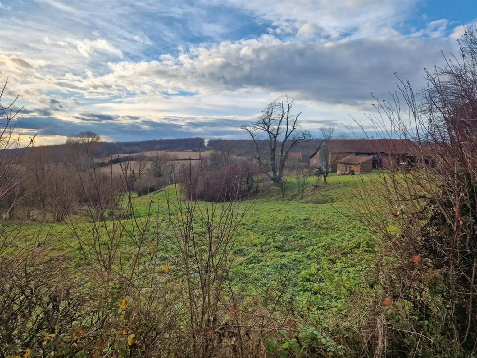 Anwesen bei Ćazma 10.000 m2 - 7