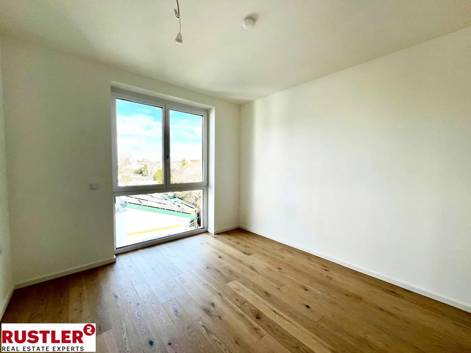 UR  (19) Viechtlgass