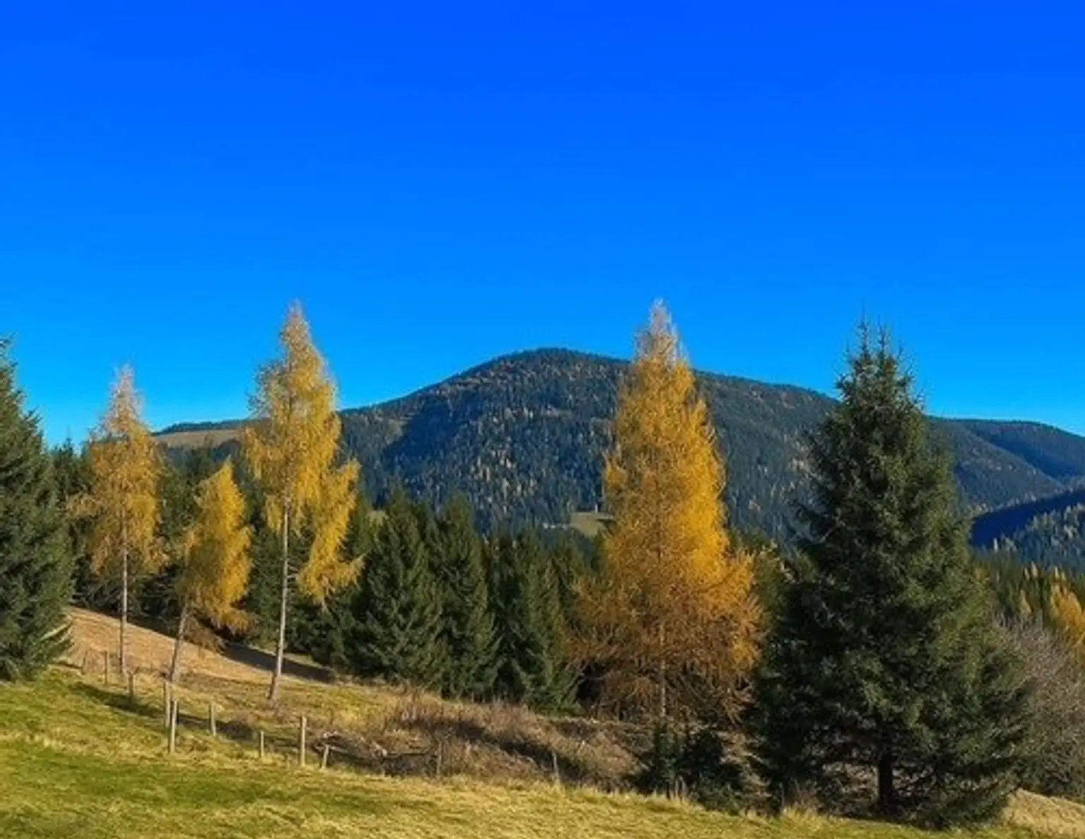 +++ 22,89 ha Wald- und Wiesenliegenschaft mit Haus und eigener Quelle in ruhiger Traumlage zu verkaufen+++