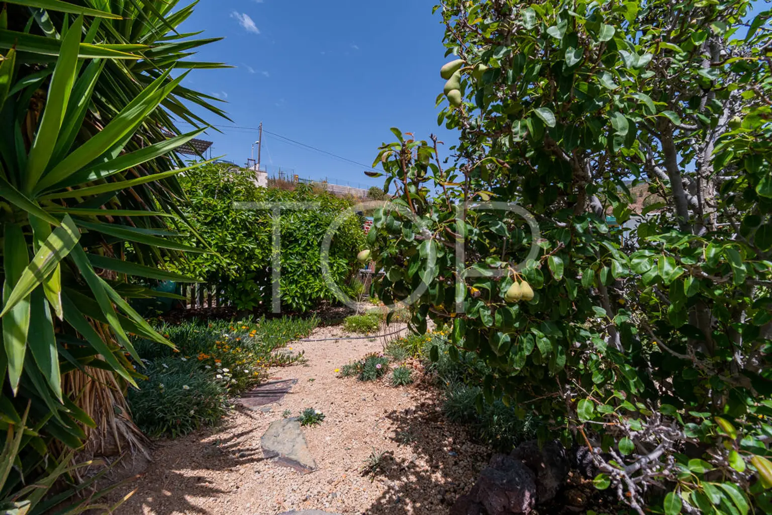 Anwesen-Granadilla-xxx-Teneriffa-47