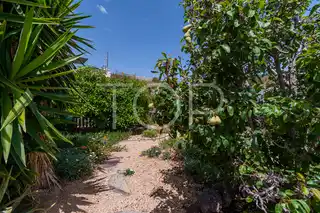 Anwesen-Granadilla-xxx-Teneriffa-47