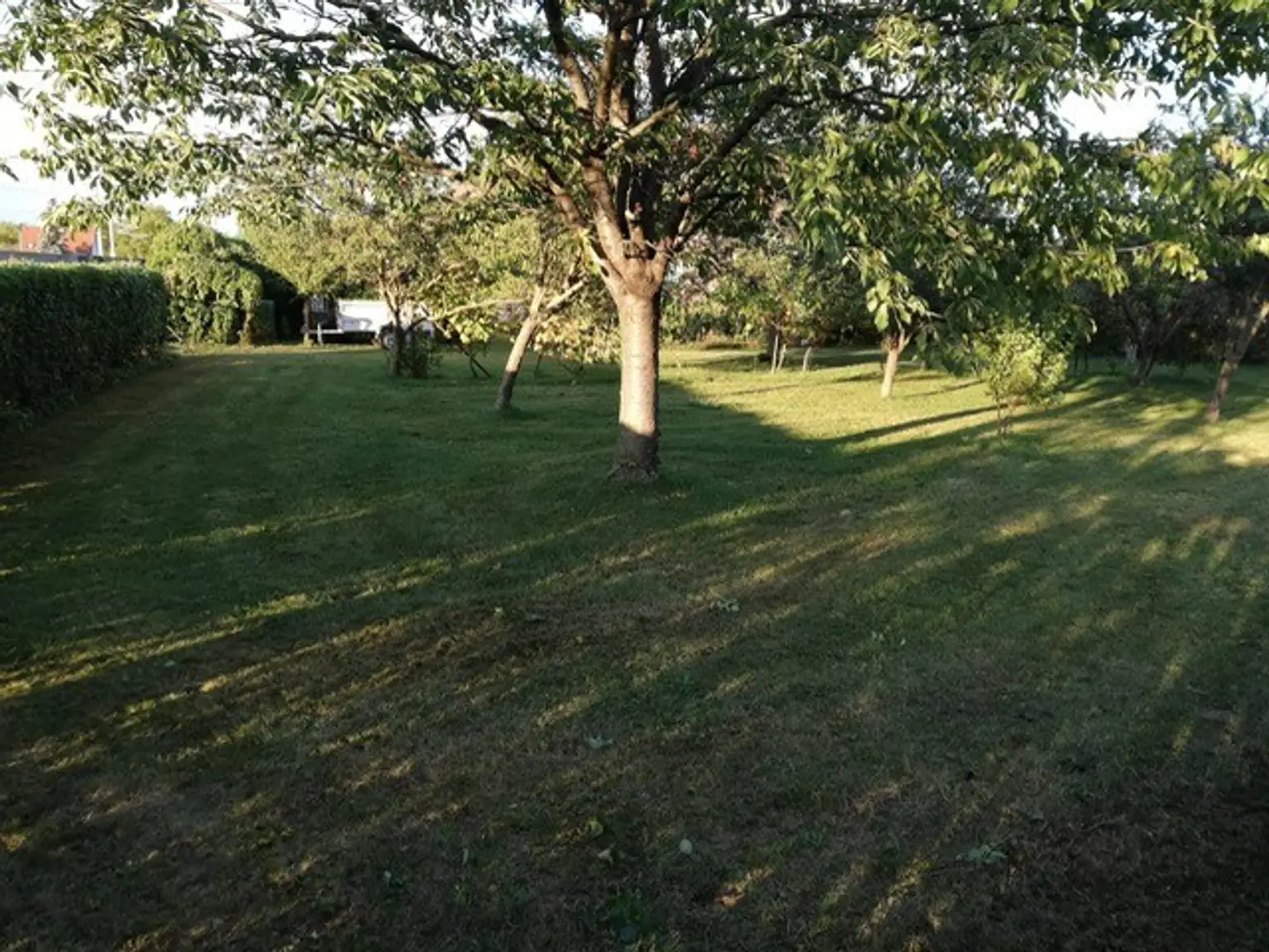 bauen Sie hier ihren barrierefreien Bungalow