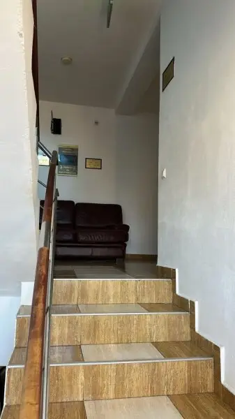 54356