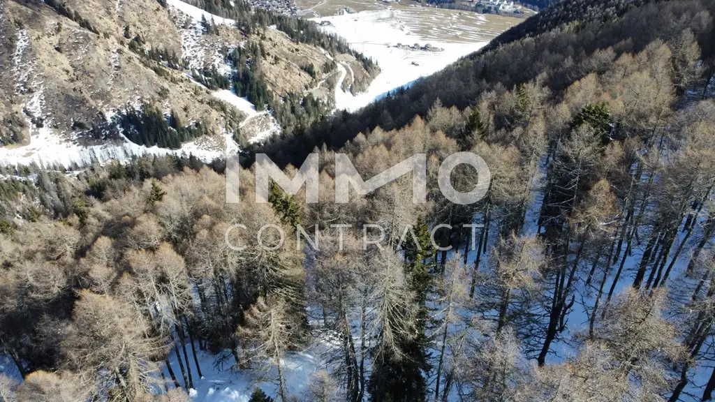 Waldparzellen am Fuße des Großglockners