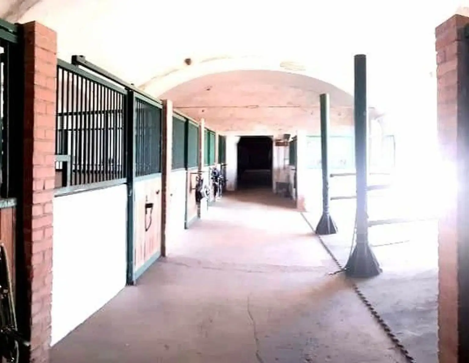 Reitgut Schloß Niederabsdorf