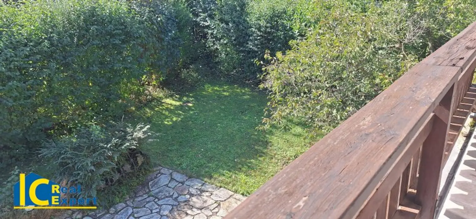 Schöner Garten mit Weichselbaum