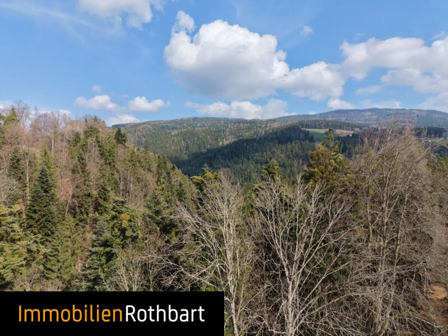 Wald mit Wiese und Zinshaus!