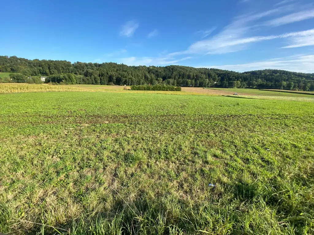 Gewerbegrundstück und Freiland in gefragter Lage nahe Graz