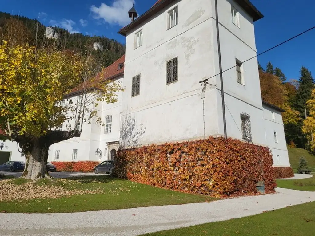 Renaissance-Schloss auf 15 ha Grund – seltene Gelegenheit für touristische Nutzung oder Family Office