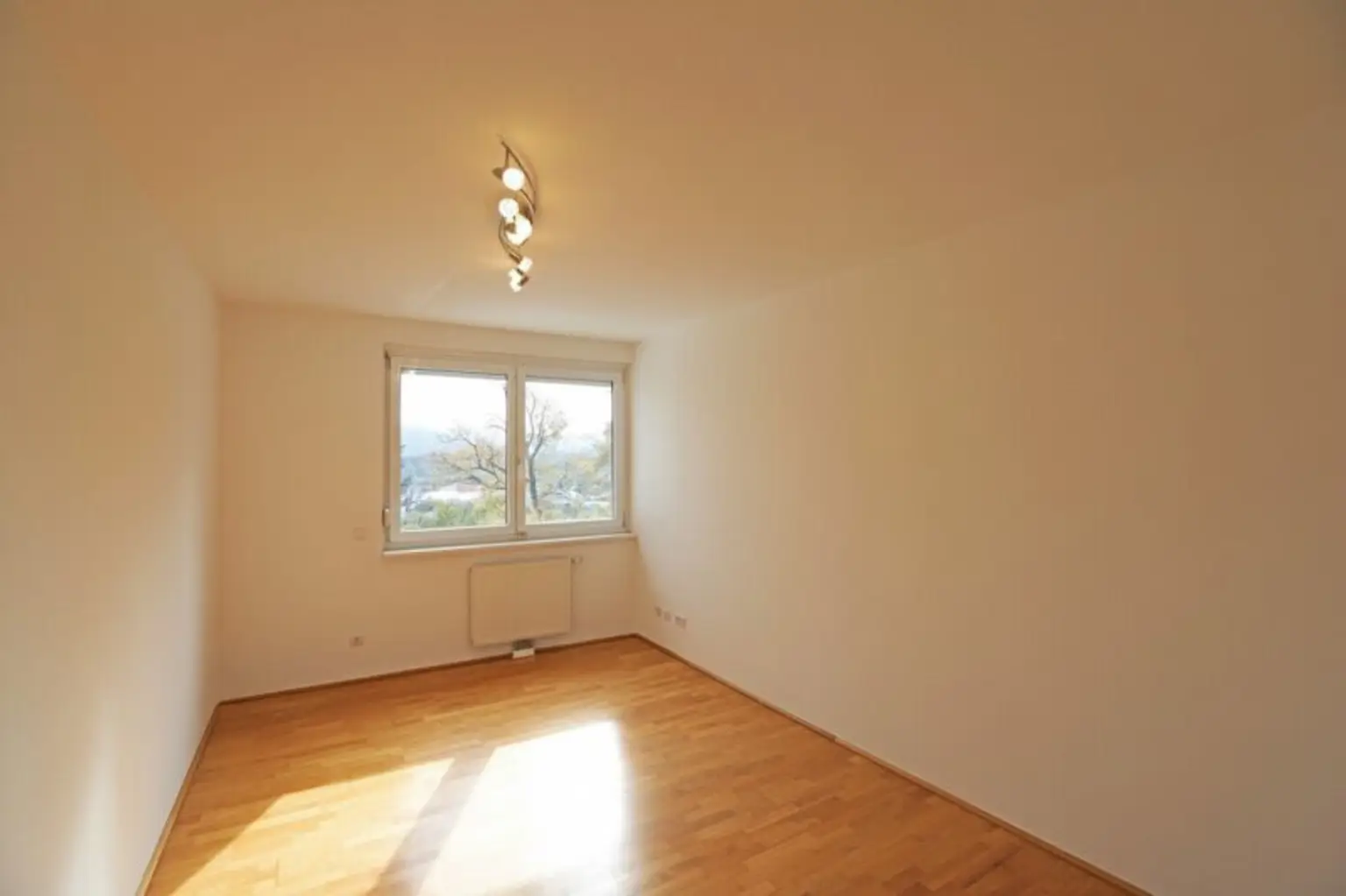 Zimmer 2 mit Südausrichtung