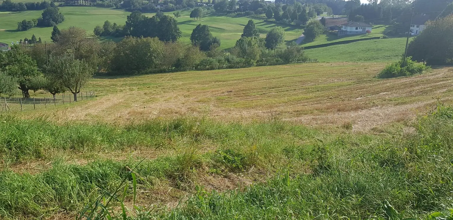 Grundstück
