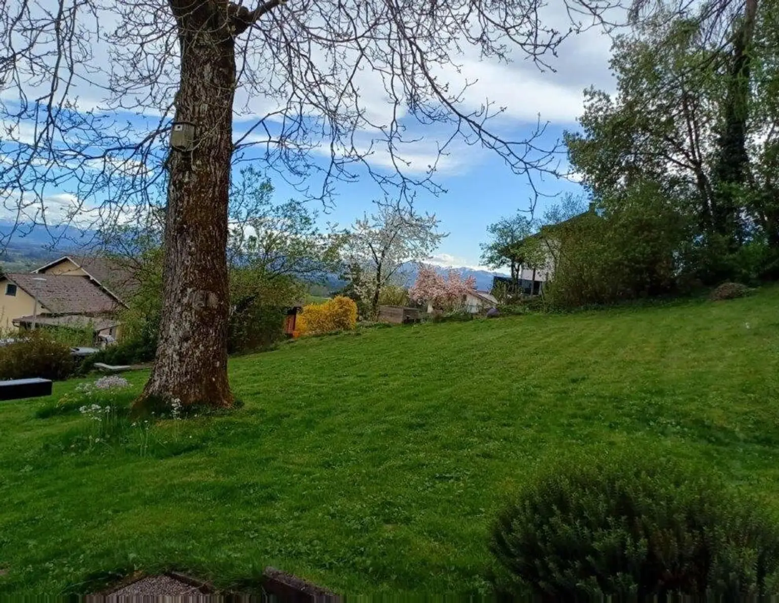 Baugrund ohne Bauzwang mit Gartenhaus zu kaufen