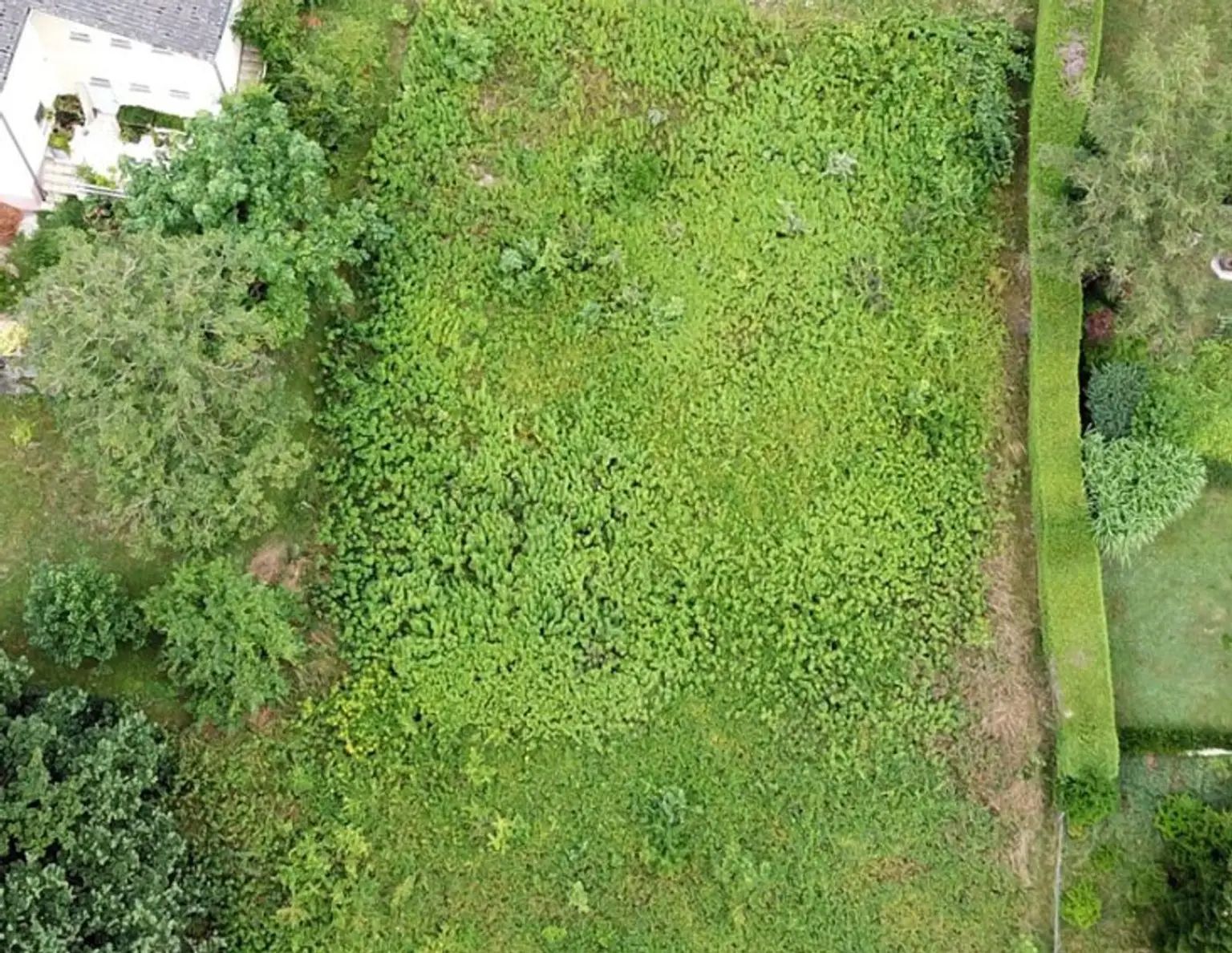 Schöner, erhabener Baugrund mit Donaublick - ink. EFH-Projekt mit Baugenehmigung!