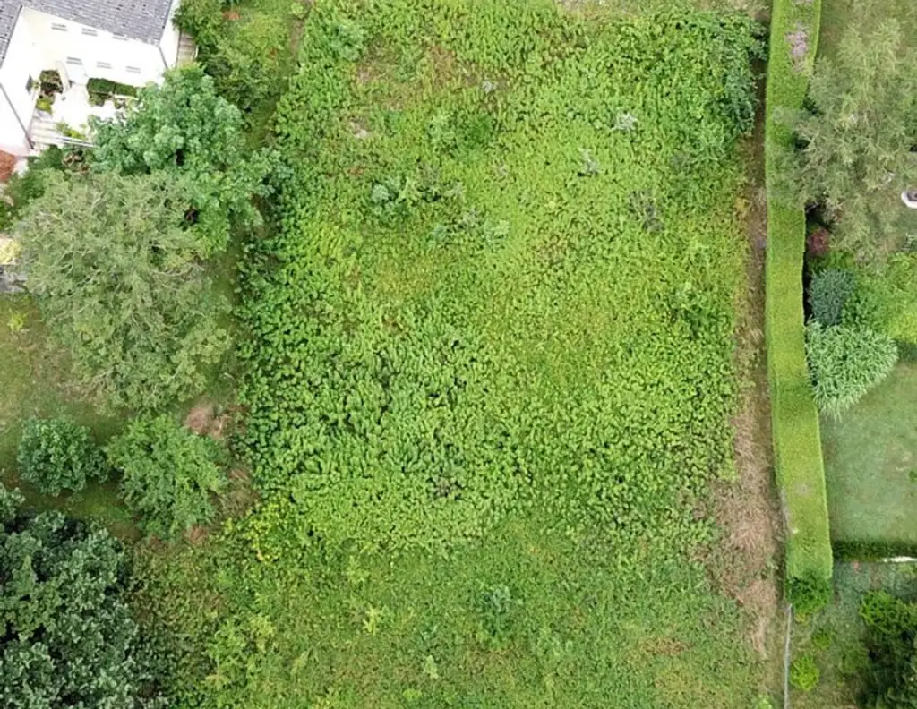 Schöner, erhabener Baugrund mit Donaublick - ink. EFH-Projekt mit Baugenehmigung!