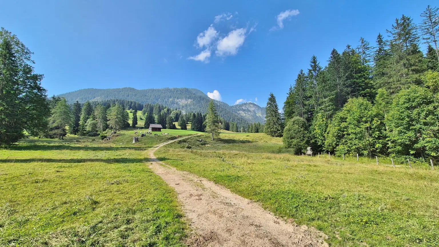 Bad Mitterndorf: Almhütte!! auf Eigengrund mit Nebengebäuden