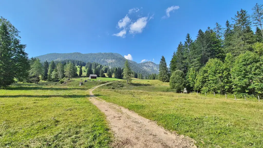 Bad Mitterndorf: Almhütte!! auf Eigengrund mit Nebengebäuden