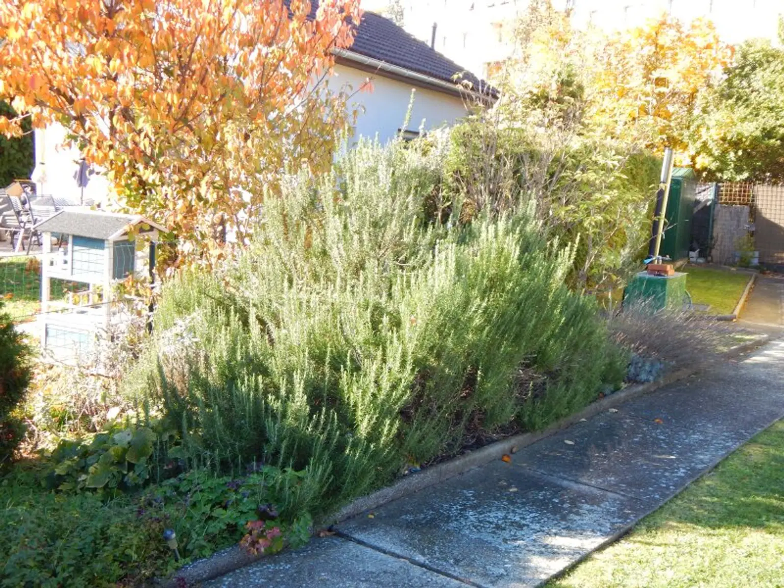 Ihr Traumhaus mit Garten und Pool in Ruhelage - Gepflegte Kleingartensiedlung, ganzjähriges Wohnen möglich
