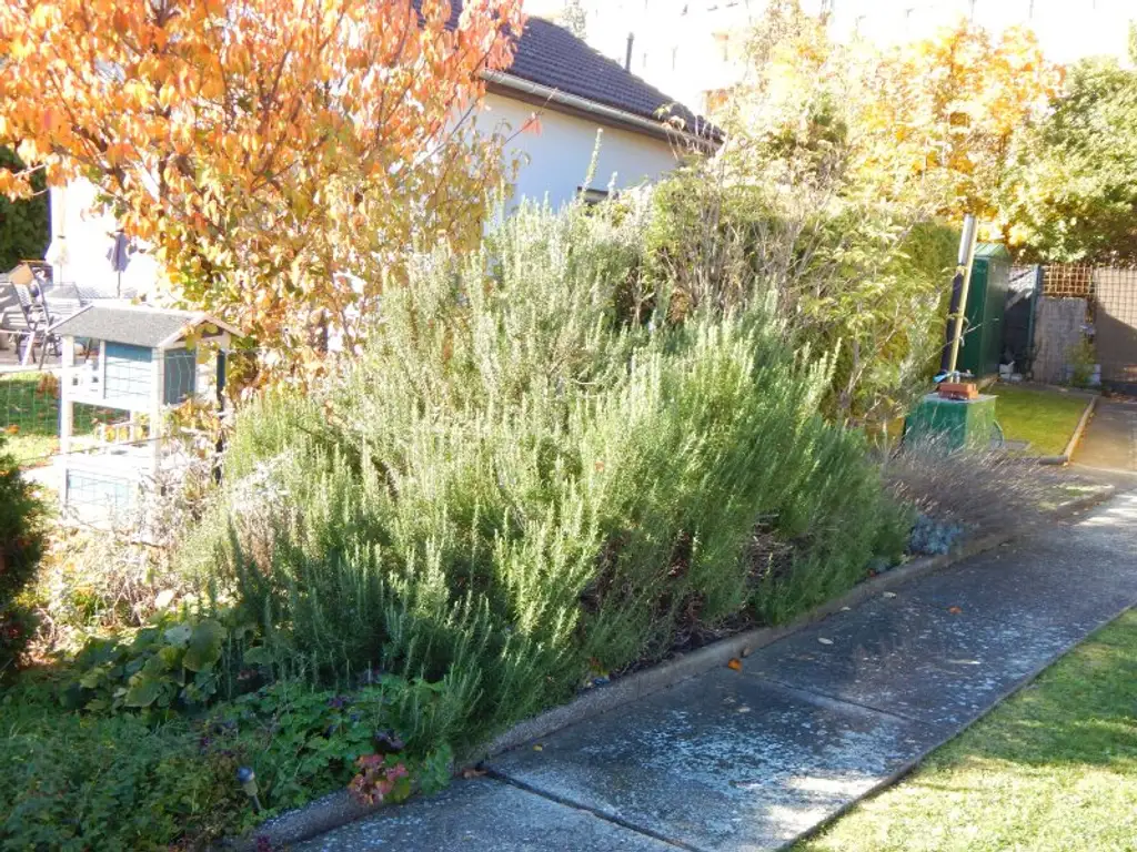Ihr Traumhaus mit Garten und Pool in Ruhelage - Gepflegte Kleingartensiedlung, ganzjähriges Wohnen möglich