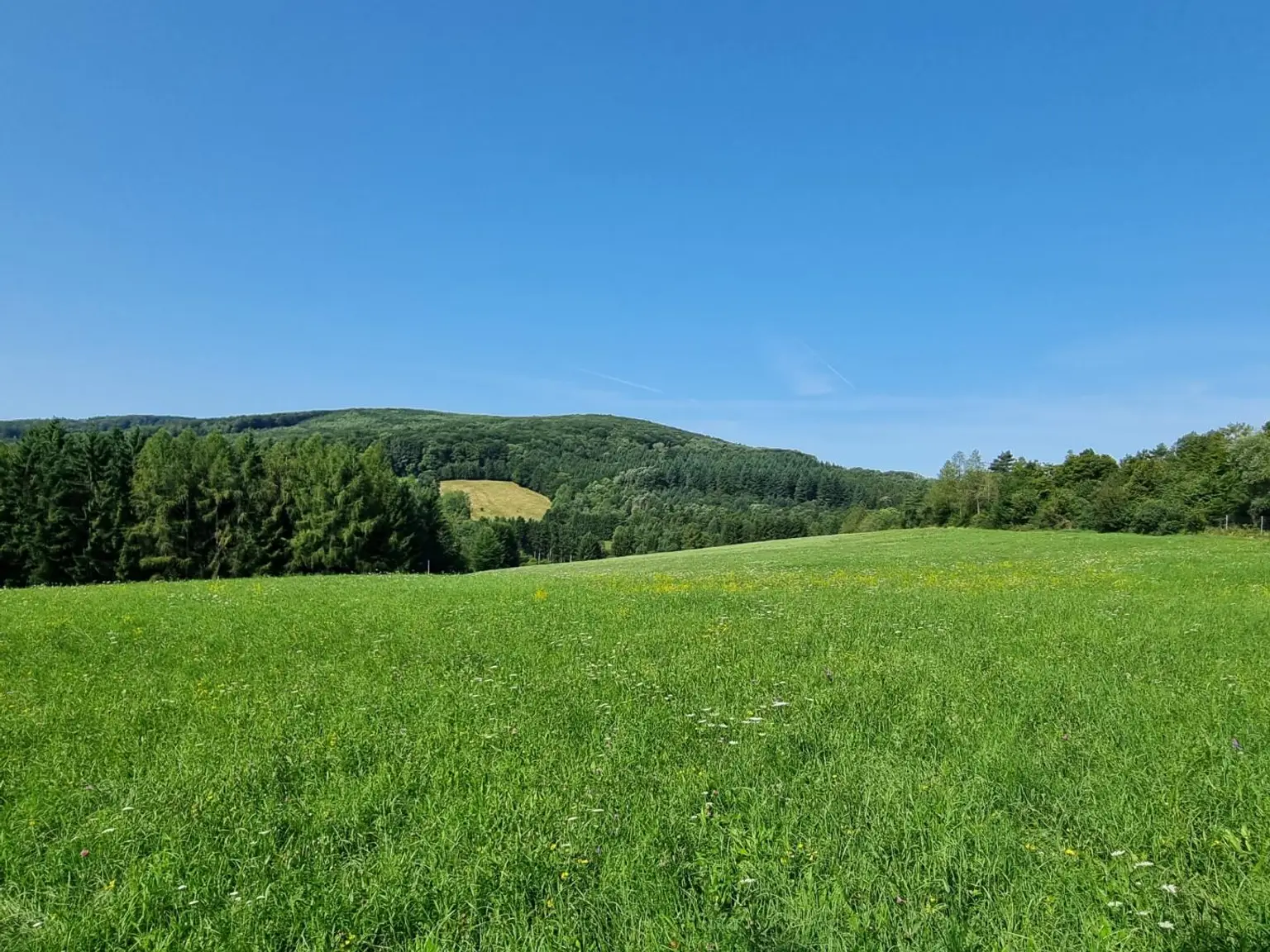LANDWIRTSCHAFT VOR DEN TOREN WIENS