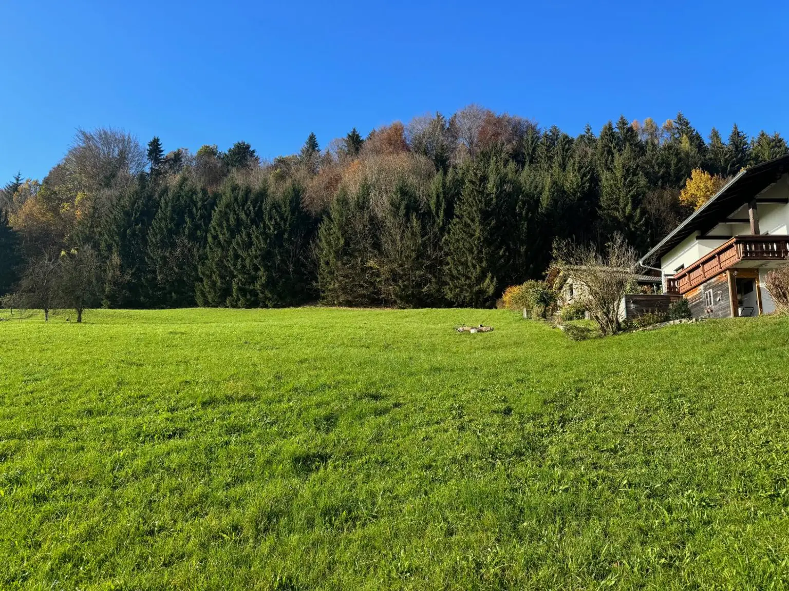 Kleine Siedlung von insgesamt vier Häusern - zu Fuß zum schönen Almfluss - herrliche Wanderungen und Radtouren von zu Hause aus!
