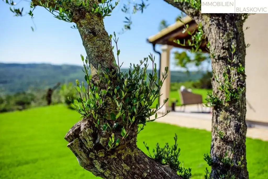 Charmante Villa im Grünen mit fabelhafter Aussicht in die Natur