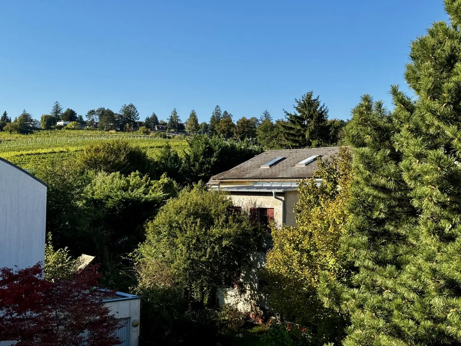 Dachgeschoßwohnung mit Ausblick!