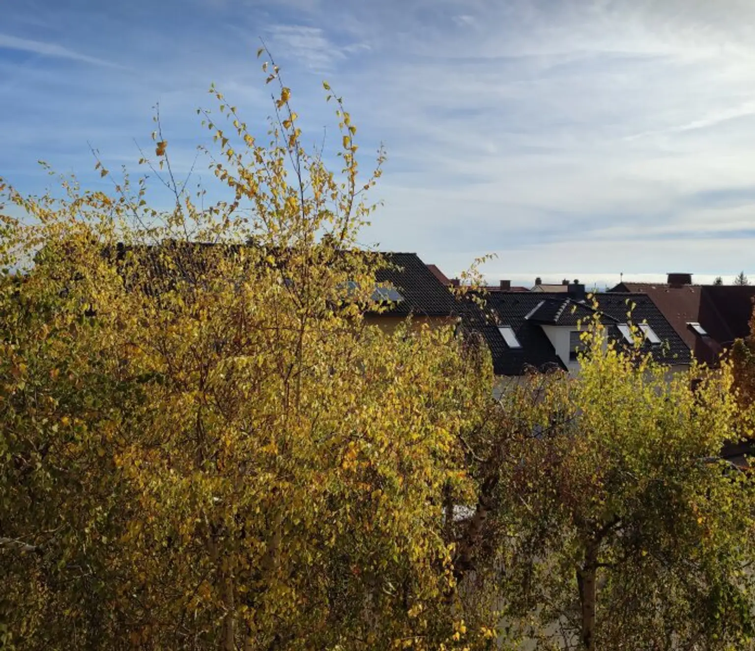 Blick aus dem Vorzimmer