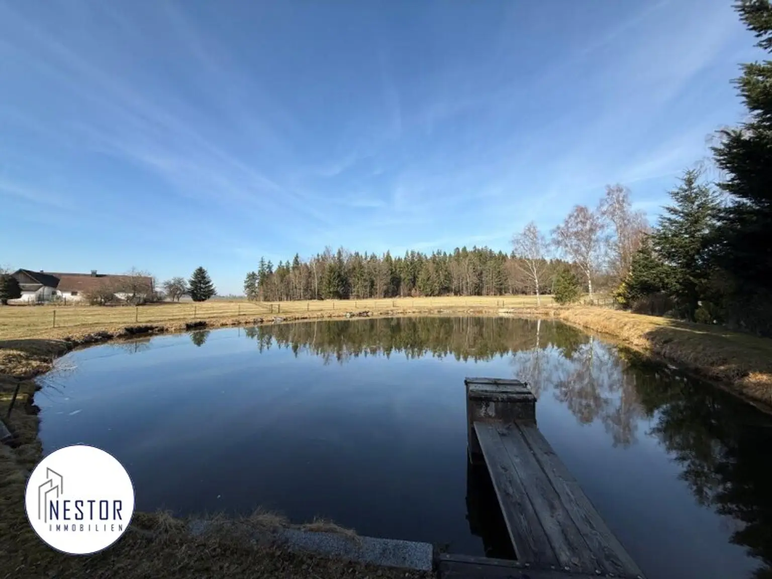 Fischteich - NESTOR Immobilien
