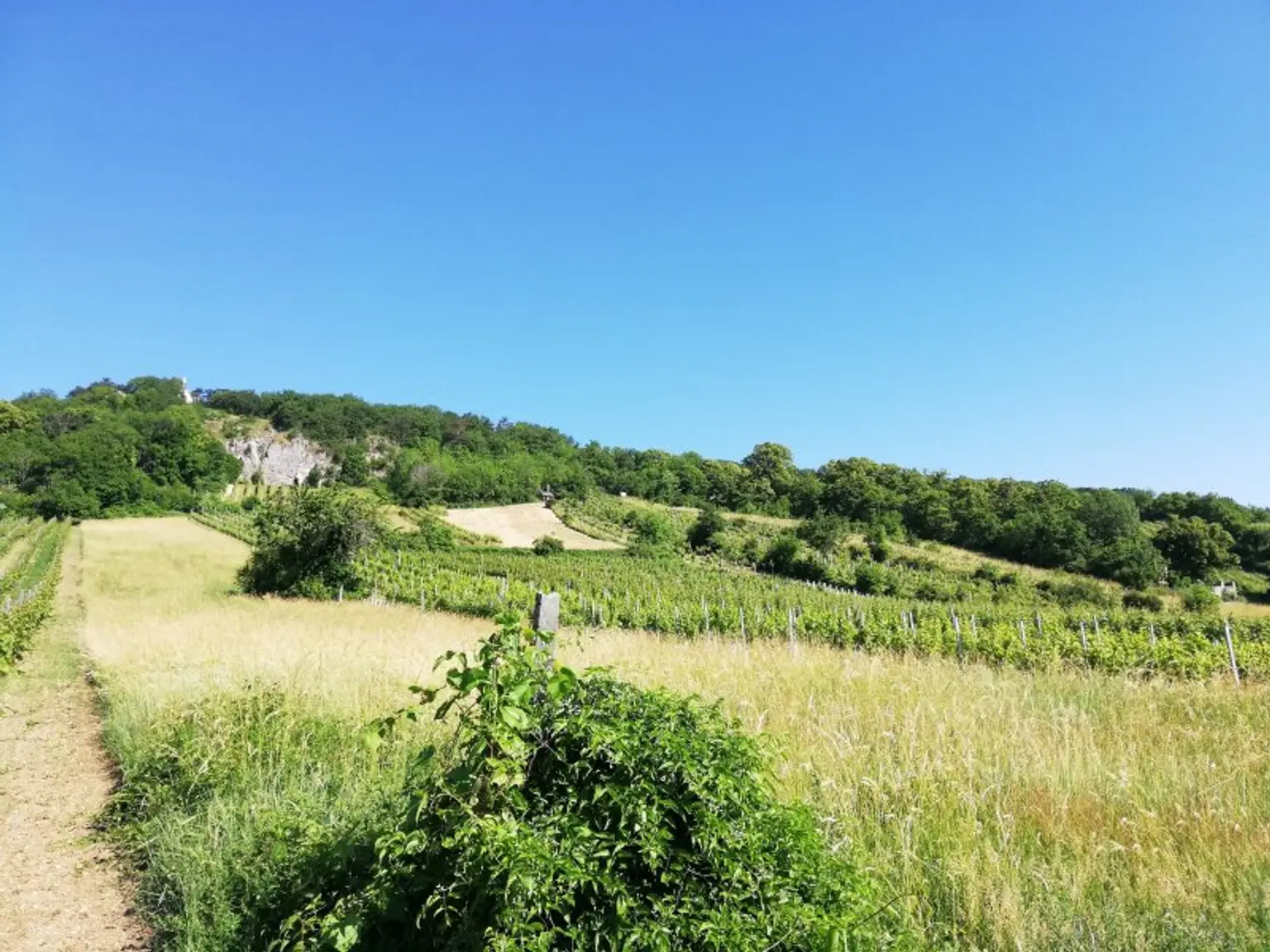 Naturidylle am Anninger - Kleingartenhaus mit großem Garten !
