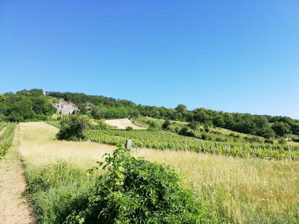 Naturidylle am Anninger - Kleingartenhaus mit großem Garten !