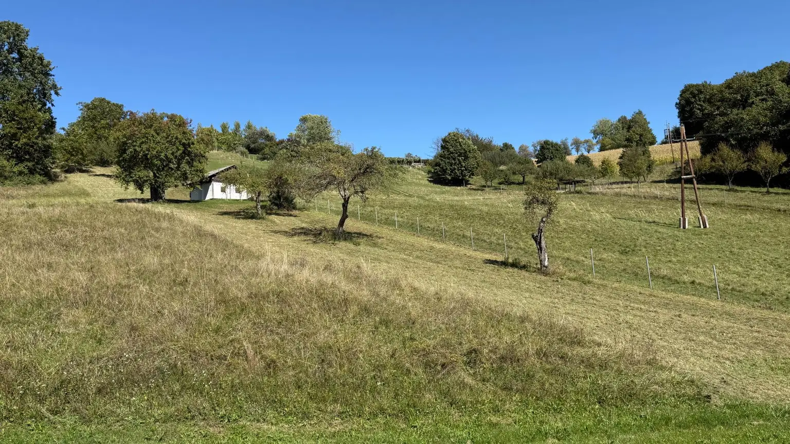 Idyllisches Kellerstöckl mit historischem Charme inmitten von Weingärten & Obstbäumen