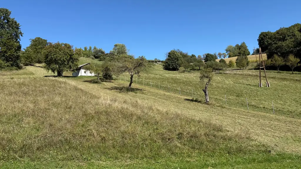 Idyllisches Kellerstöckl mit historischem Charme inmitten von Weingärten & Obstbäumen