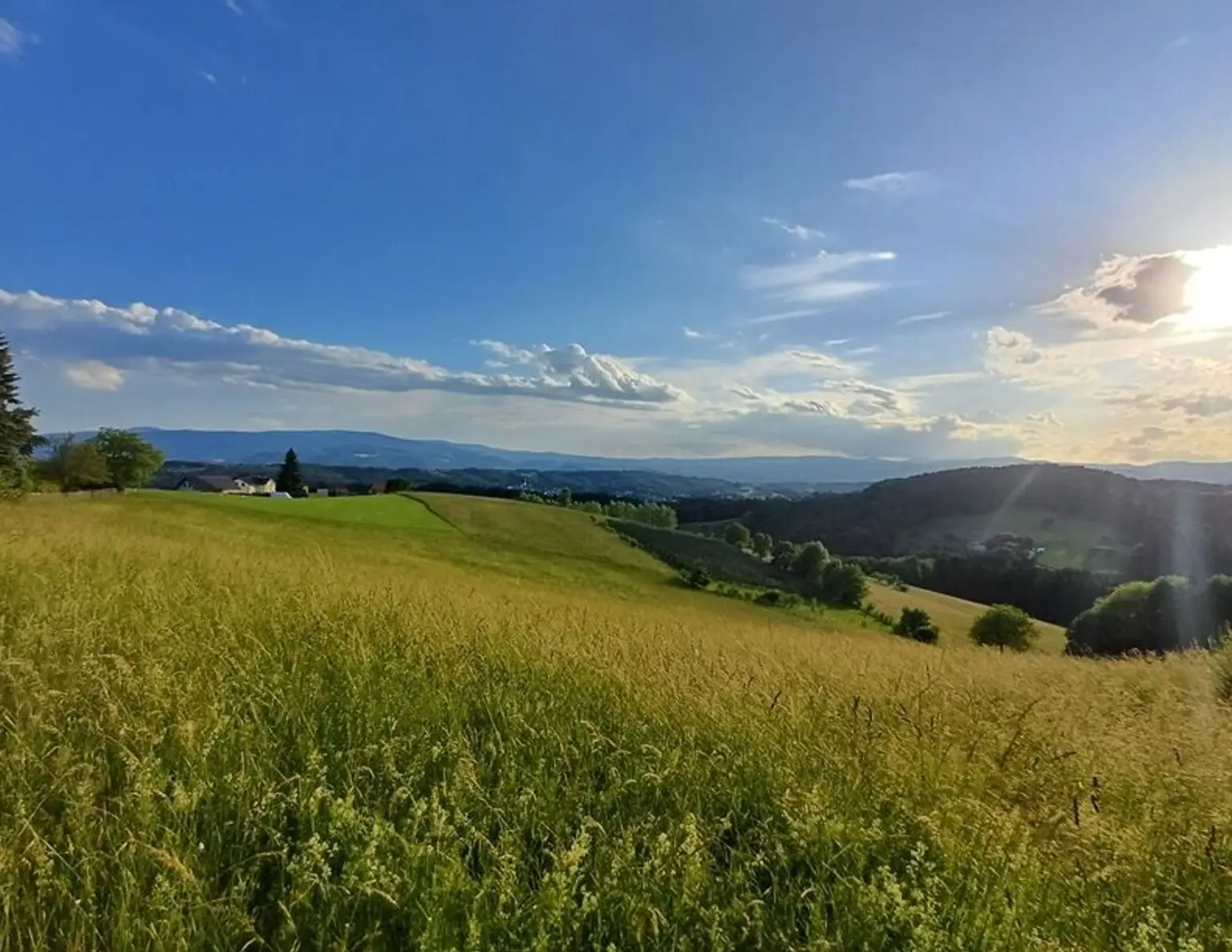 Pferdeliebhaber aufgepasst: Top-Landwirtschaft in herrlicher Lage Nähe Graz