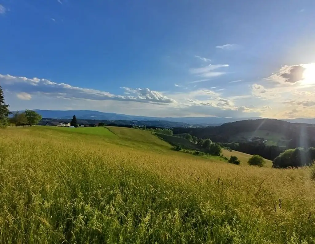 Pferdeliebhaber aufgepasst: Top-Landwirtschaft in herrlicher Lage Nähe Graz