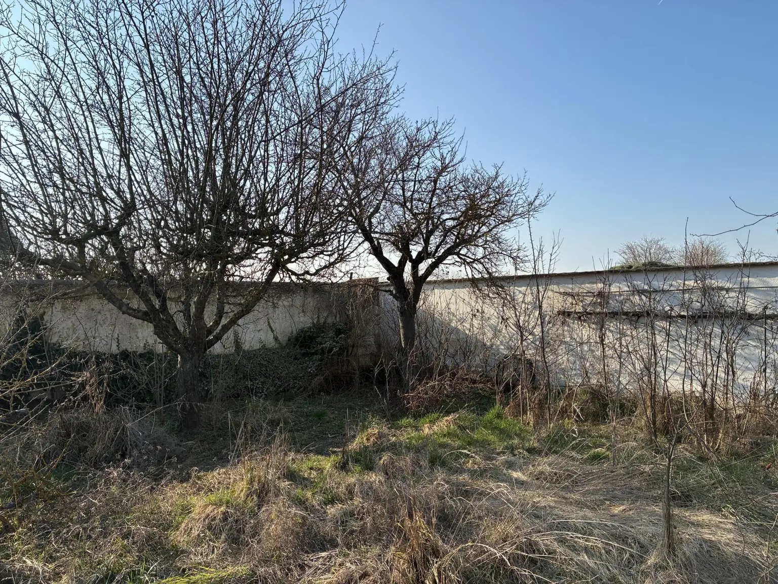 Hier lässt es sich leben...der See ruft! Solides Wohnhaus in Oggau -Bedarf Renovierung!