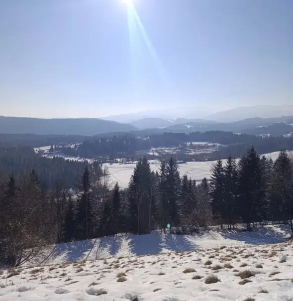 Ausblick