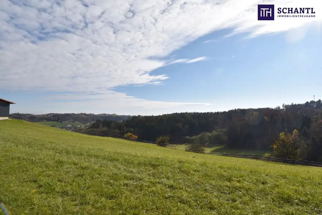 SPITZEN Grundstück vollerschlossen mit hoher Bebauungsdichte - ca. 330m² Wohnfläche in Oisnitz / St. Josef - Nähe Lannach