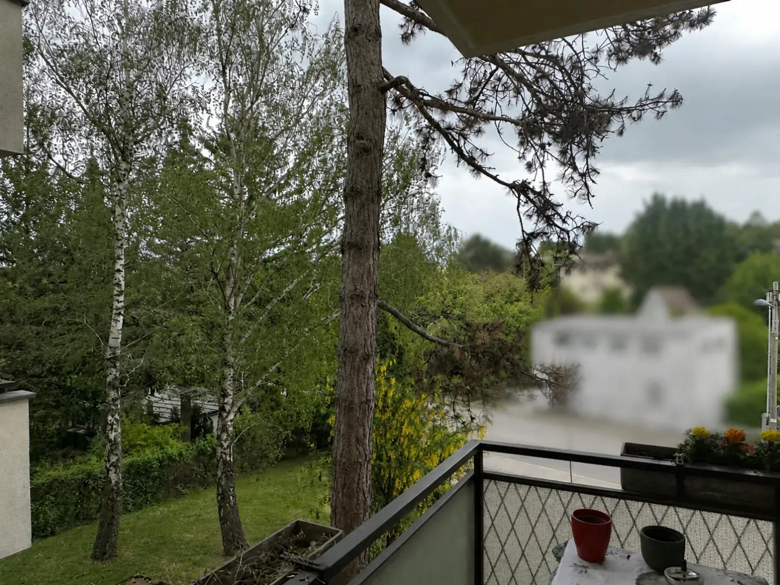 Ausblick