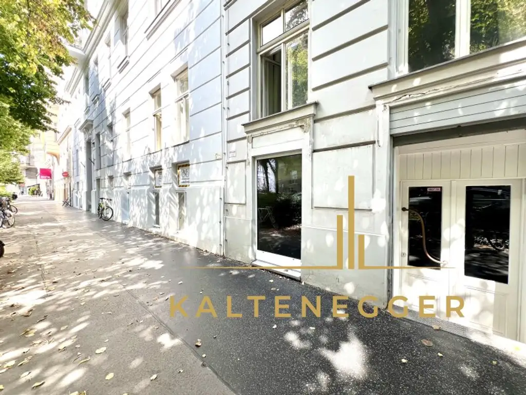 Attraktives Souterrain-Lokal in der Neulinggasse